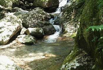 三爪仑观音岩第 22 张图片
