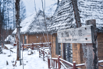 讷殷古城第 34 张图片
