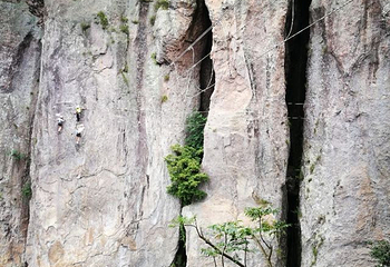 雁荡山飞拉达景区第 20 张图片