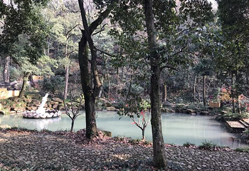 灵峰山-灵峰寺第 12 张图片