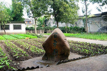 百草园第 31 张图片