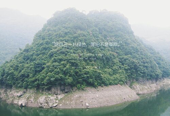 小溪自然保护区第 11 张图片