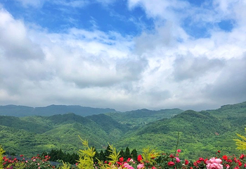 杨梅基地第 36 张图片