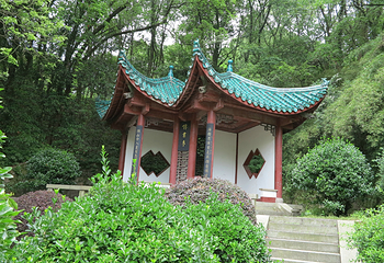 岳阳楼景区第 216 张图片