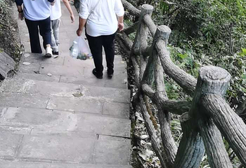 油杉河景区第 11 张图片