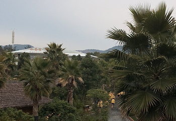 三里畈温泉旅游度假区第 54 张图片