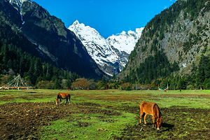 梅里雪山国家公园