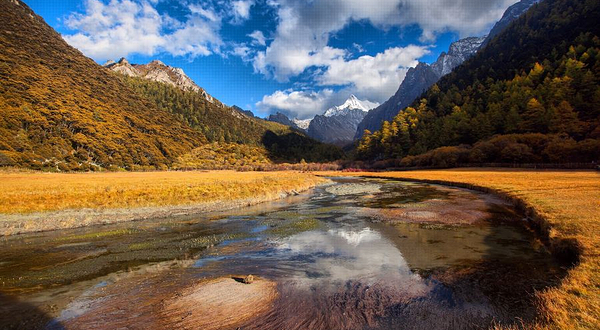 稻城亚丁-冲古草甸