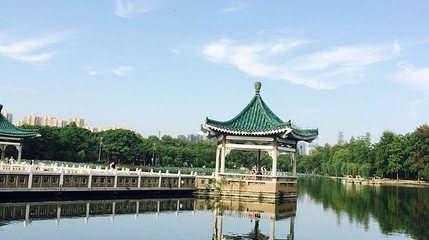 疑海听涛第 1 张图片