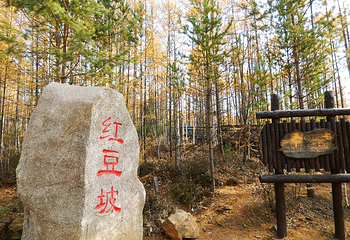 莫尔道嘎国家森林公园第 95 张图片