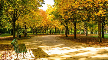 大蒂尔加滕公园