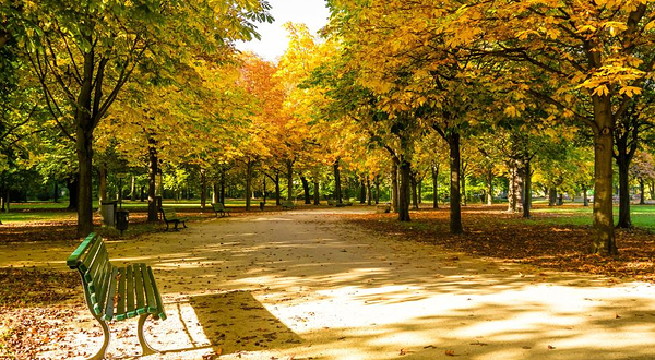 大蒂尔加滕公园