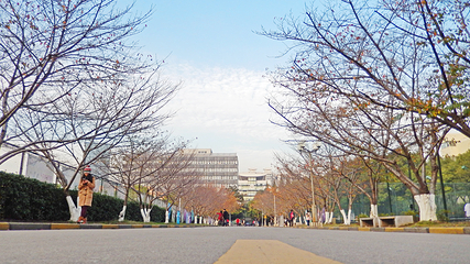 同济大学(四平路校区)第 9 张图片
