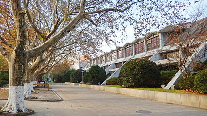 同济大学(四平路校区)第 10 张图片