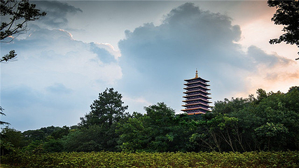 牛首山文化旅游区第 397 张图片
