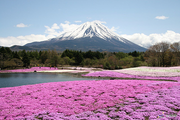 富士山第 54 张图片