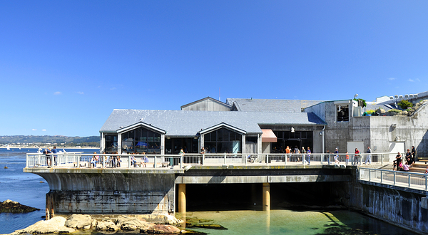 蒙特雷湾水族馆