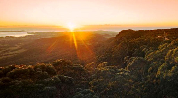 伊拉瓦拉树顶漫步道