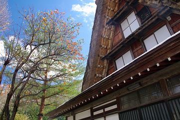 白川乡第 14 张图片