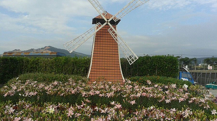 中社观光花市第 1 张图片