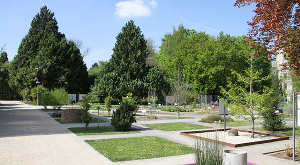 海德堡大学植物园