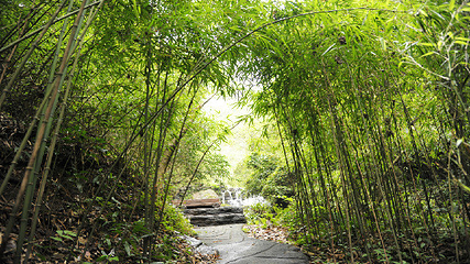 双龙生态旅游景区第 6 张图片