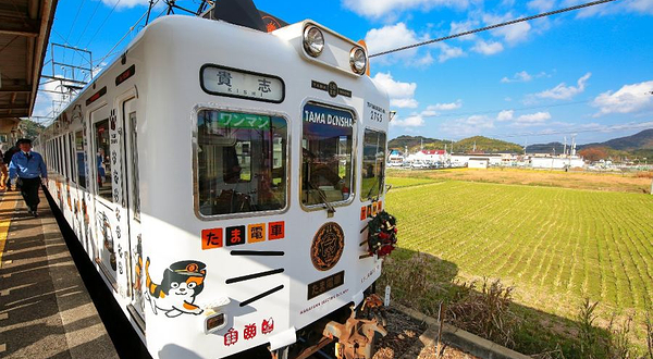 贵志（和歌山）