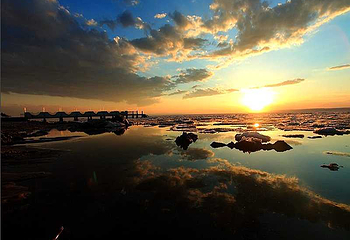 乌伦古湖国家湿地公园第 5 张图片