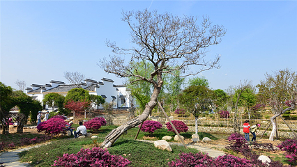 紫薇都市田园第 17 张图片
