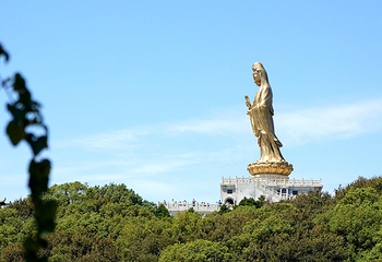 普陀山风景区第 49 张图片
