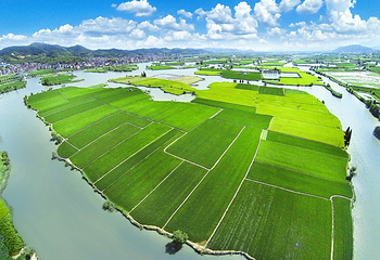 白塔湖国家湿地公园第 7 张图片
