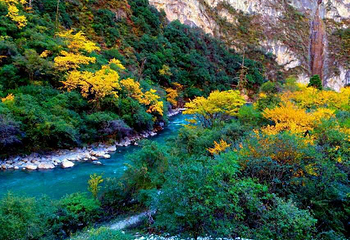 香格里拉巴拉格宗风景名胜区第 106 张图片