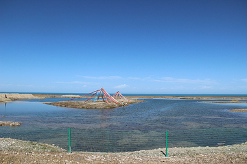 青海湖景区第 73 张图片
