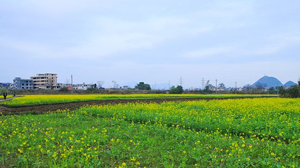 田心村第 3 张图片