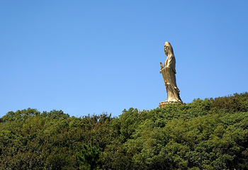 普陀山风景区第 50 张图片