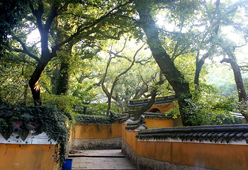 法雨寺第 13 张图片