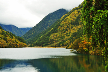 九寨沟风景区第 467 张图片
