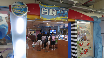 台湾海洋生物博物馆第 28 张图片
