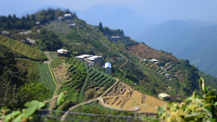 清境农场第 18 张图片