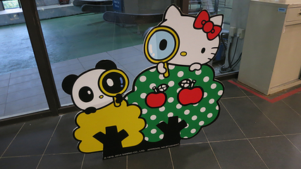 猫空第 20 张图片
