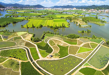 白塔湖国家湿地公园第 15 张图片