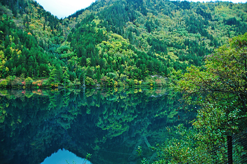 九寨沟风景区第 482 张图片