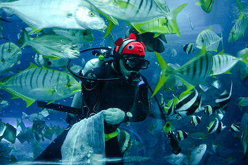 台湾海洋生物博物馆第 33 张图片