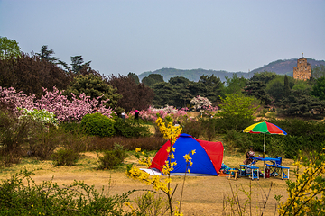 国家植物园(原北京植物园)第 6 张图片
