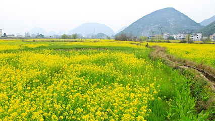 田心村第 6 张图片