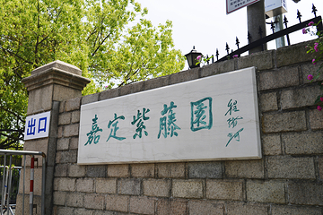嘉定紫藤园第 11 张图片