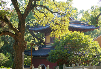 法雨寺第 11 张图片