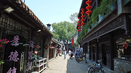 花局里第 1 张图片
