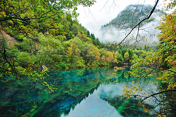 九寨沟风景区第 650 张图片