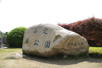 嘉定紫藤园第 1 张图片